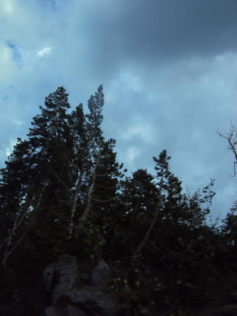 DSC00920