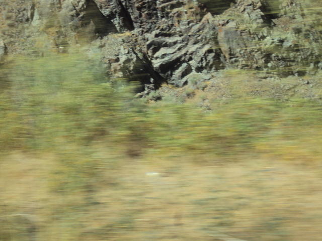 DSC00924