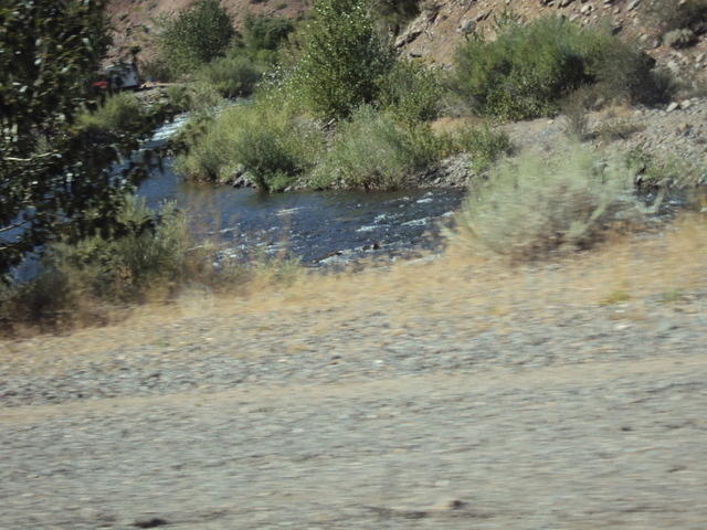 DSC00925