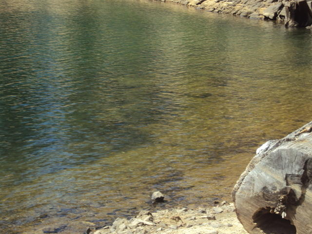 DSC00933