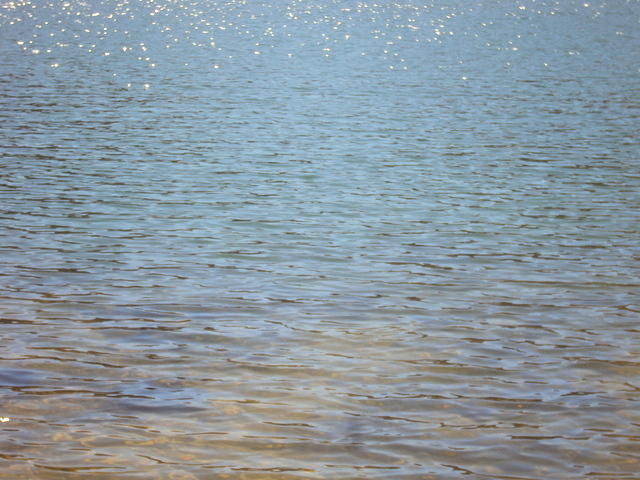 DSC00941