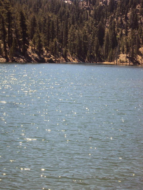 DSC00943