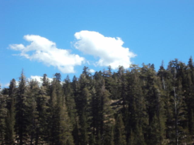 DSC00953