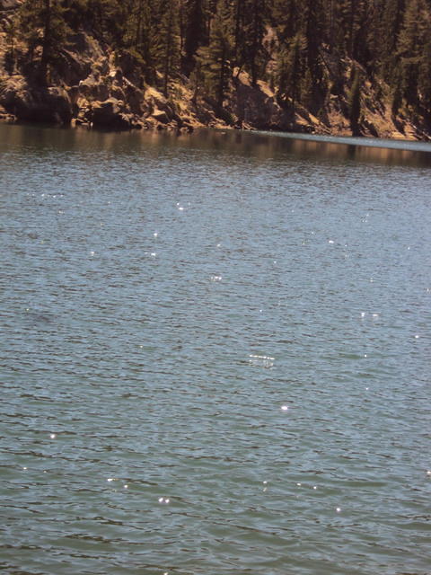 DSC00954