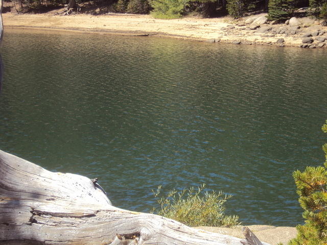 DSC00958