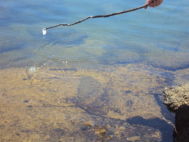 DSC00969