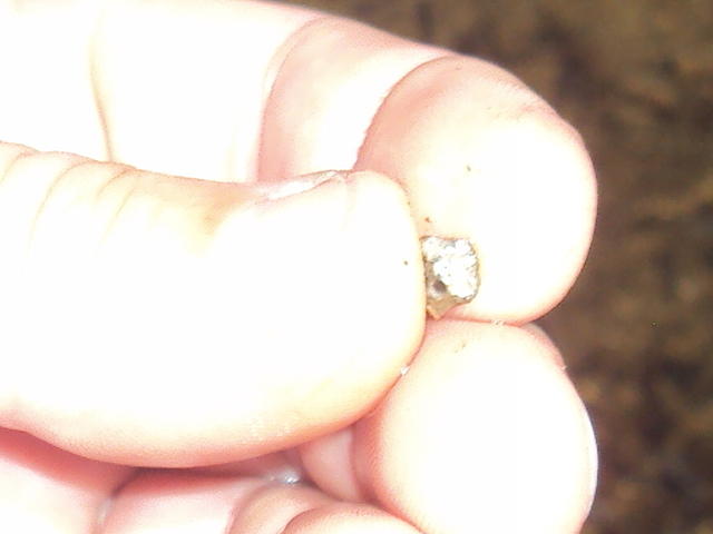 DSC00980