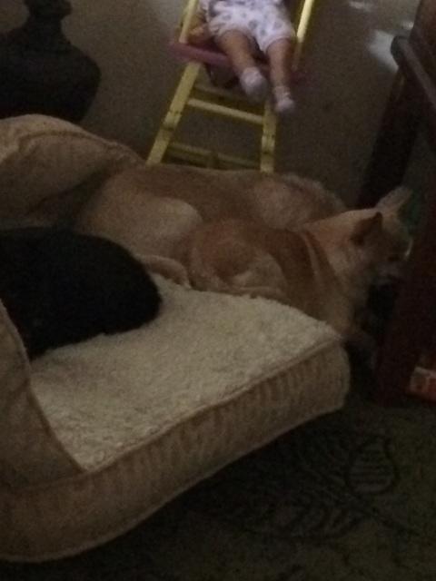 IMG 14541