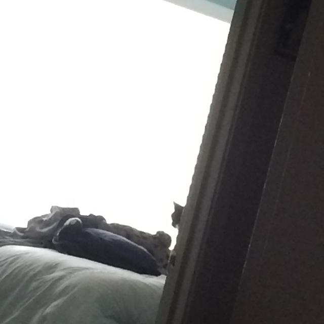 IMG 15961