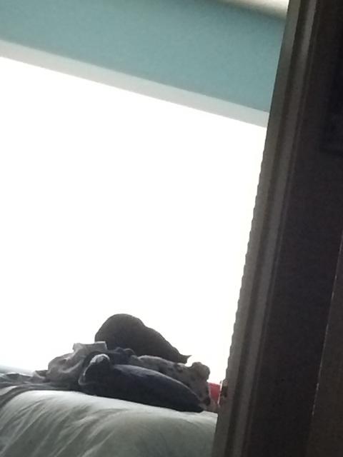IMG 15981