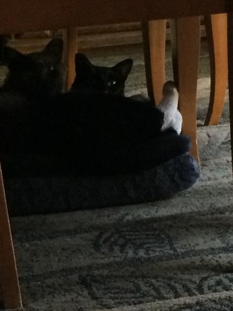 IMG 16061