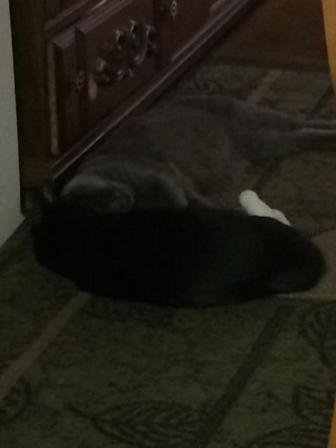 IMG 16311