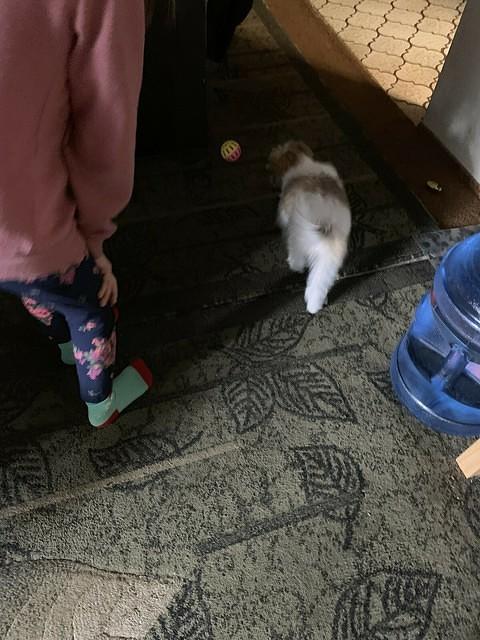IMG 0167
