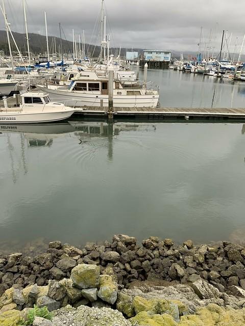 IMG 0417
