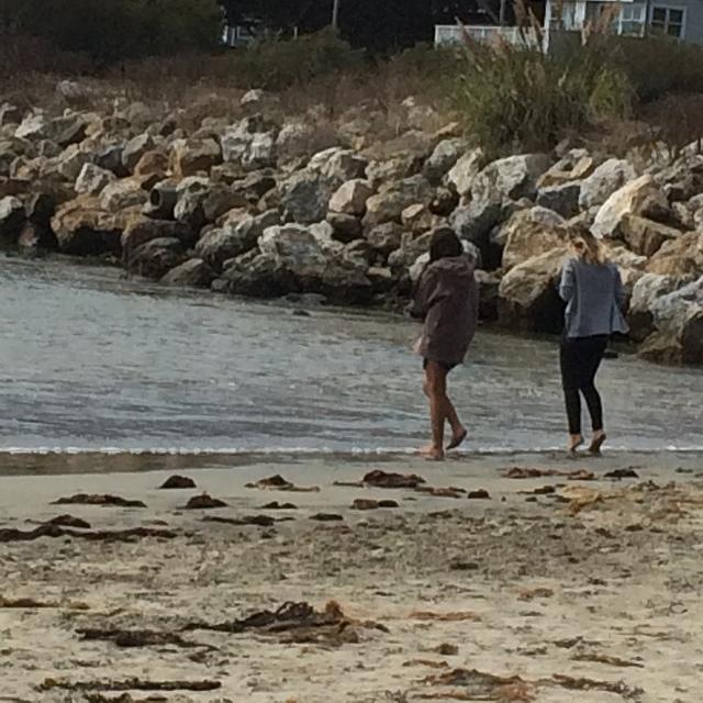 IMG 3690