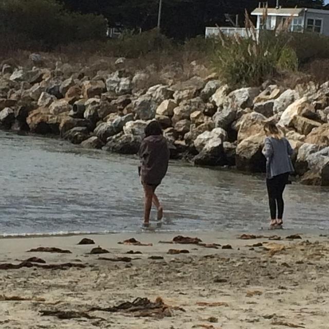 IMG 3691