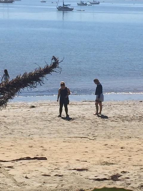 IMG 3785