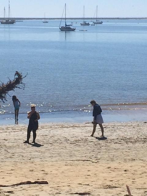 IMG 3787