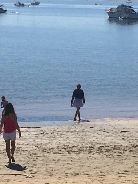 IMG 3795