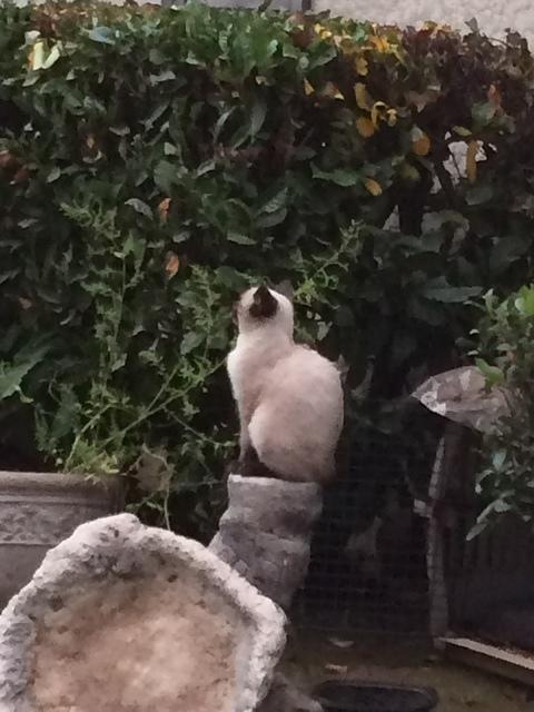 IMG 3979