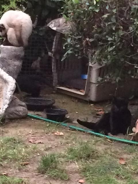 IMG 3984