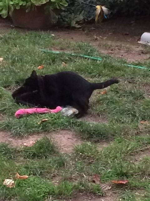 IMG 3988