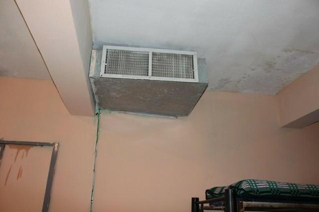 IMG 4337