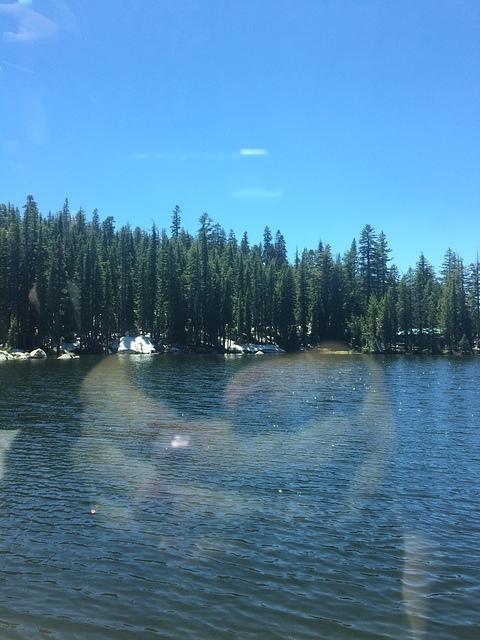 IMG 5295