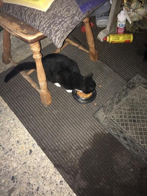 IMG 5823