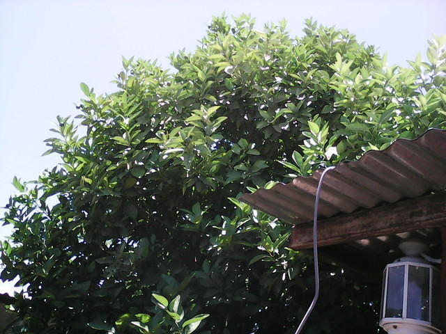 IMG 6399