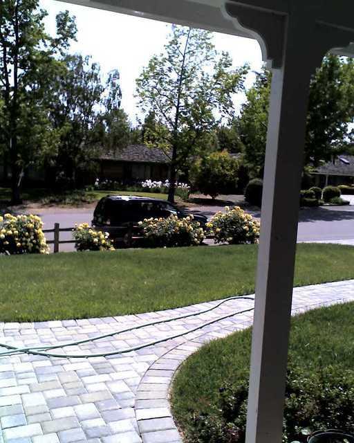 IMG 0017