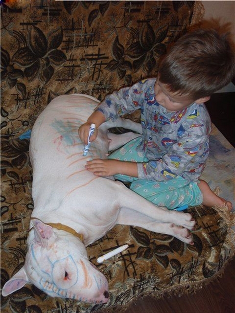IMG 0226
