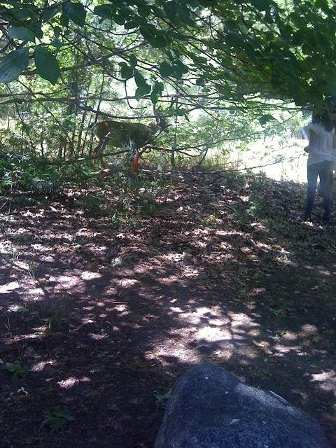 IMG 0518