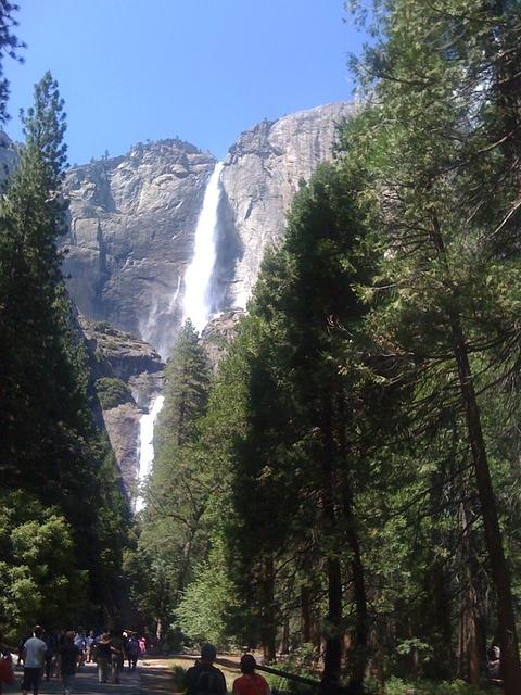 IMG 0522