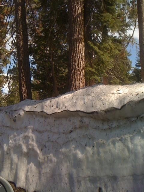IMG 0925