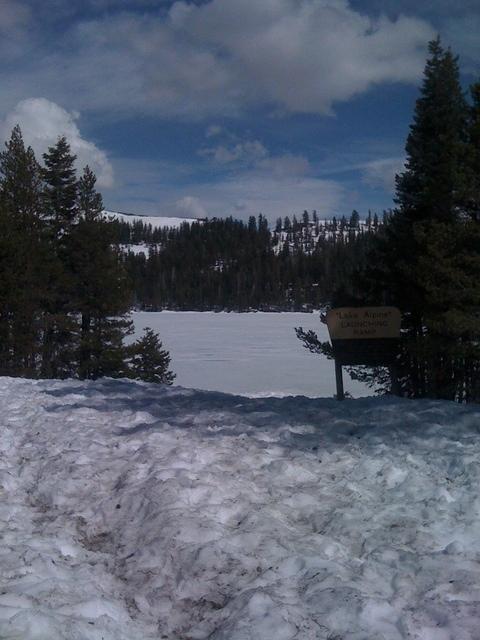 IMG 0928