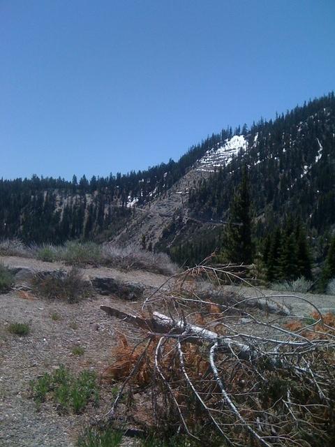 IMG 0954
