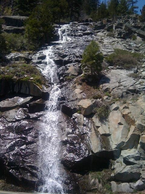 IMG 0956