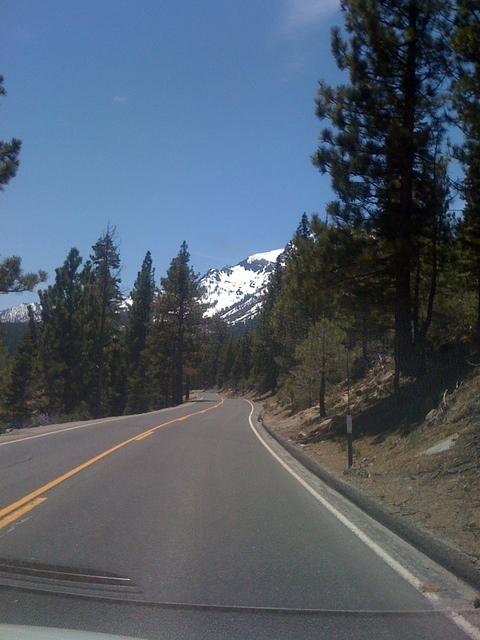 IMG 0979