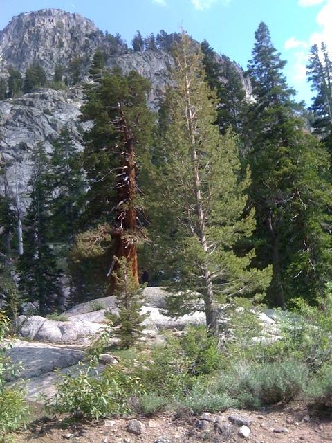 IMG 1157