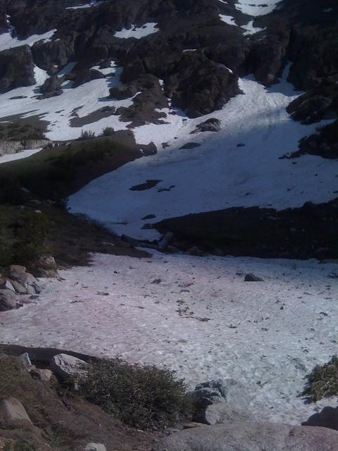 IMG 1162