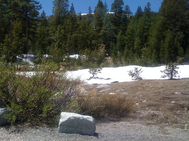 IMG 1195