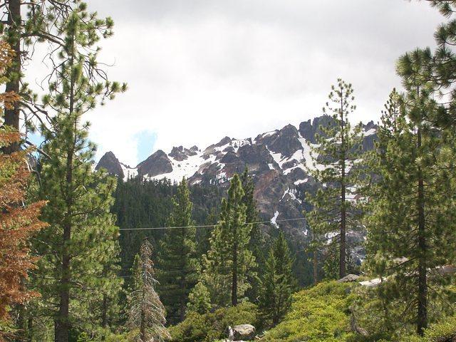 IMG 1241