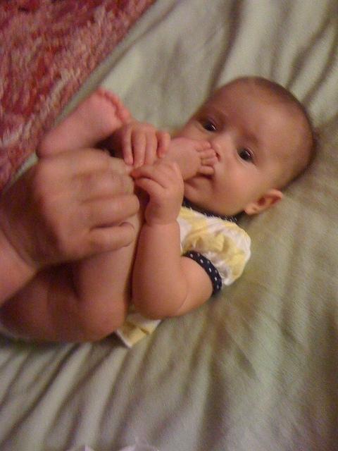 IMG 1435