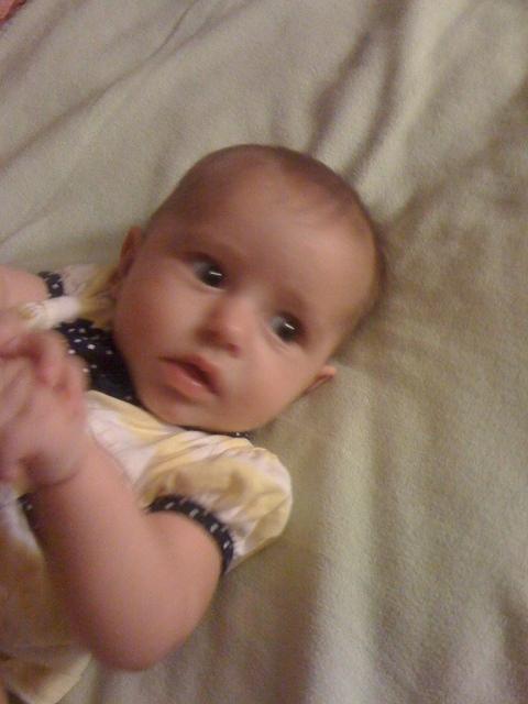 IMG 1437