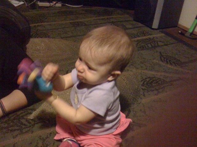 IMG 1564