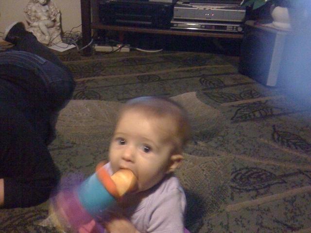 IMG 1568