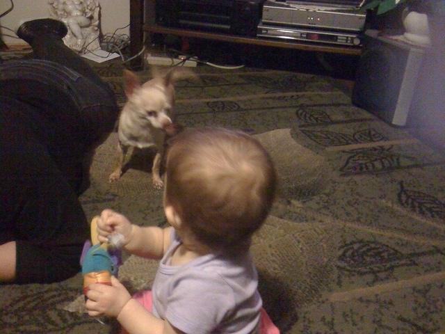 IMG 1569