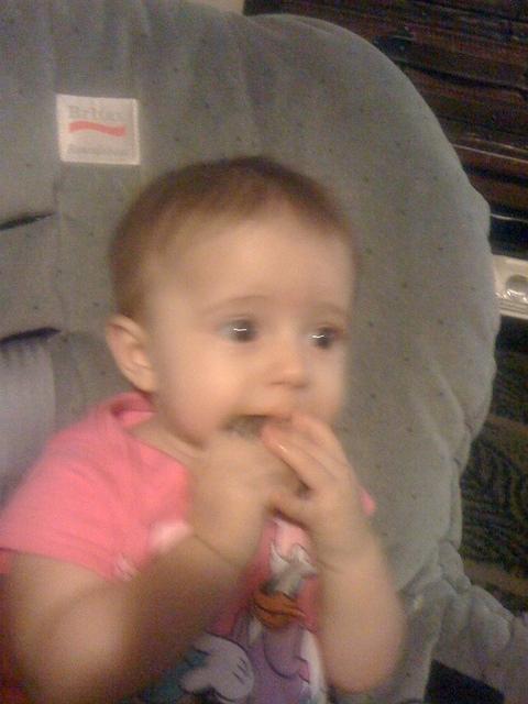 IMG 1613