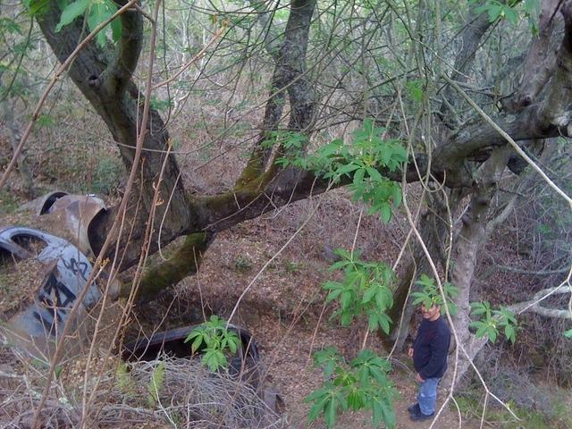 IMG 1658